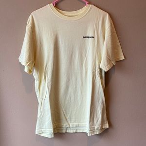 Patagonia tee